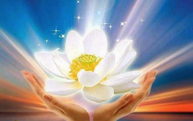 Цветок лотоса медитация АЛЛАТРА. Гармония и счастье. Гармония с миром. Свет Божественной любви.
